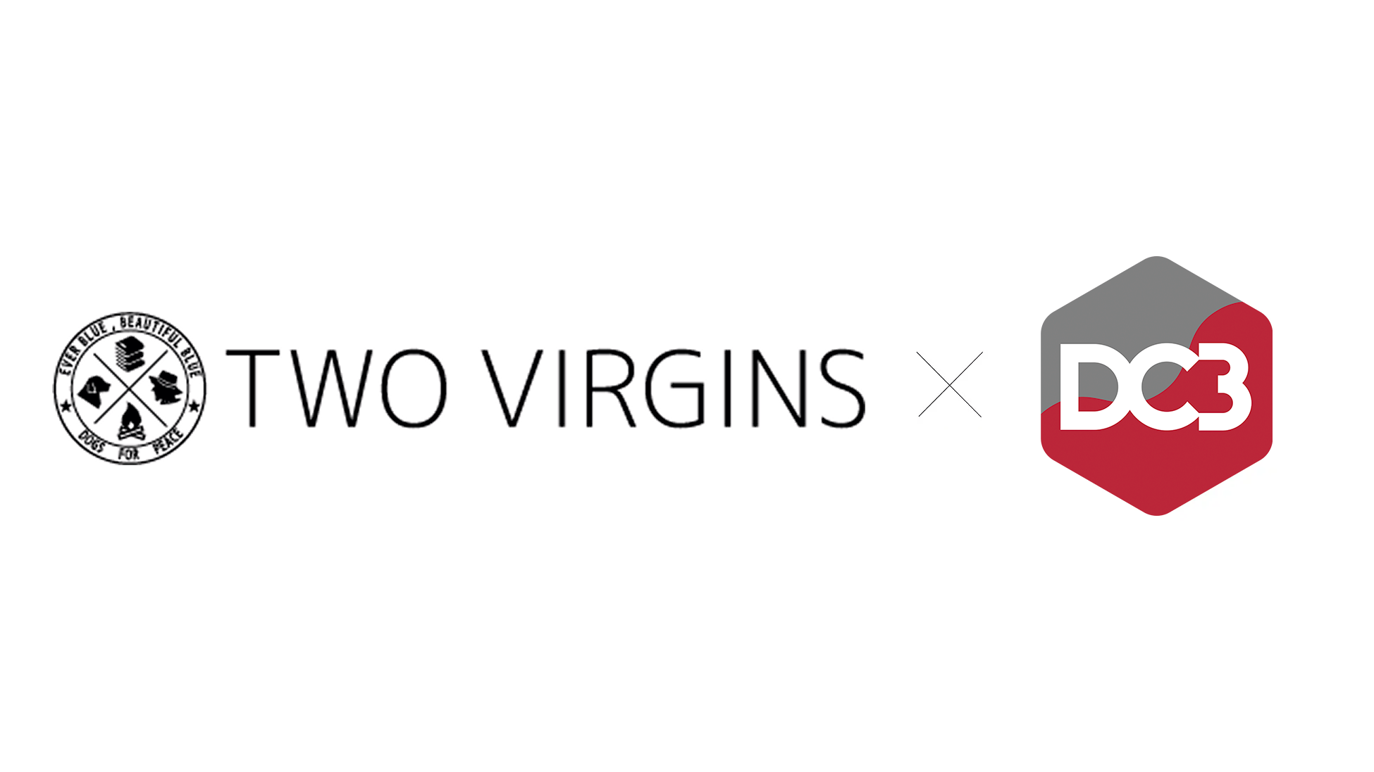 株式会社トゥーヴァージンズのデジタル書籍ストア「TWO VIRGINS DIGITAL」に基盤ソリューション「DC3」が採用　人気イラストレーターによる作品集シリーズ「THE VISUAL」をDC3コンテンツで販売開始