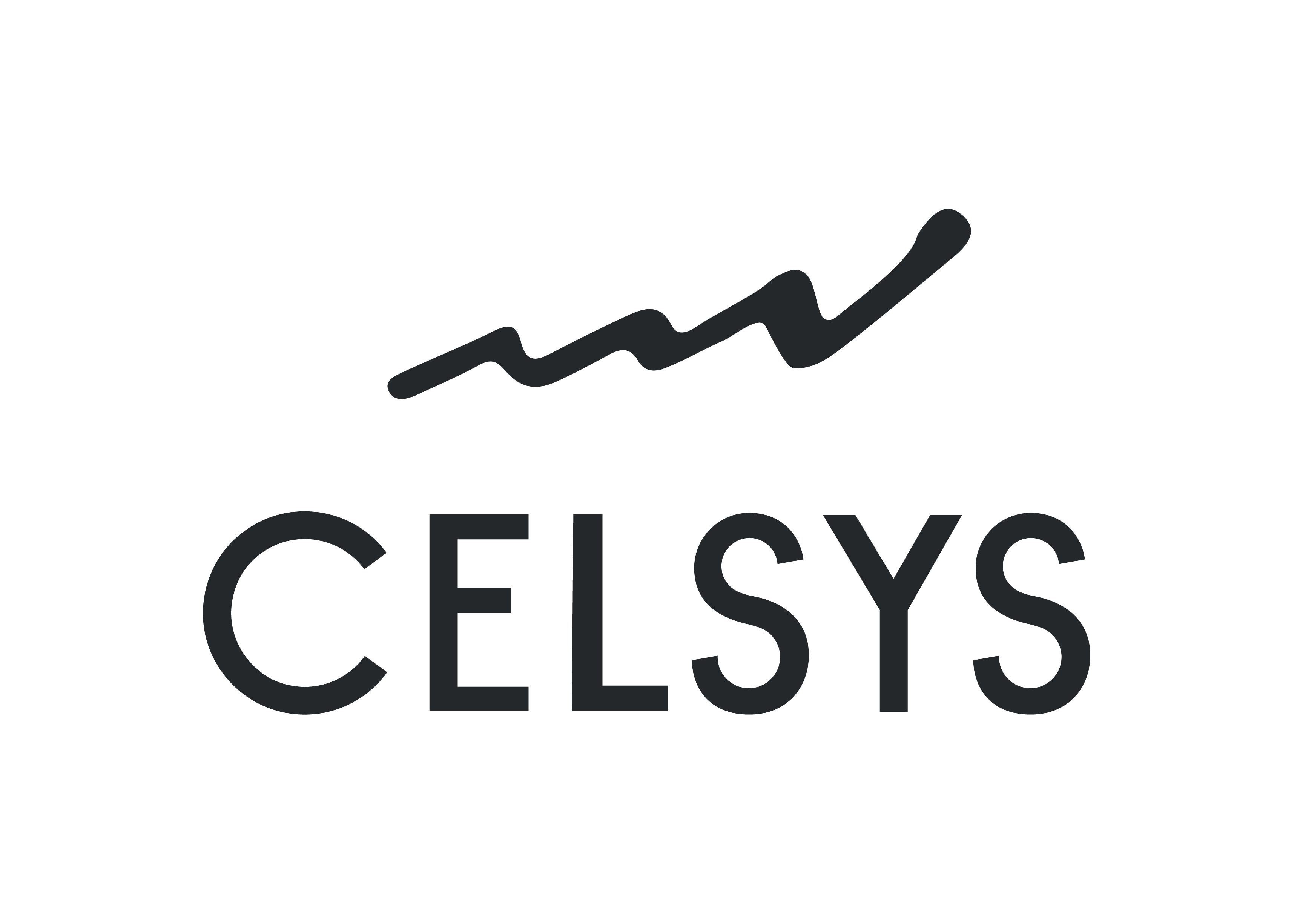 CELSYS LOGO